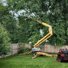 Best Arborist Consultation Services  in Toast, NC